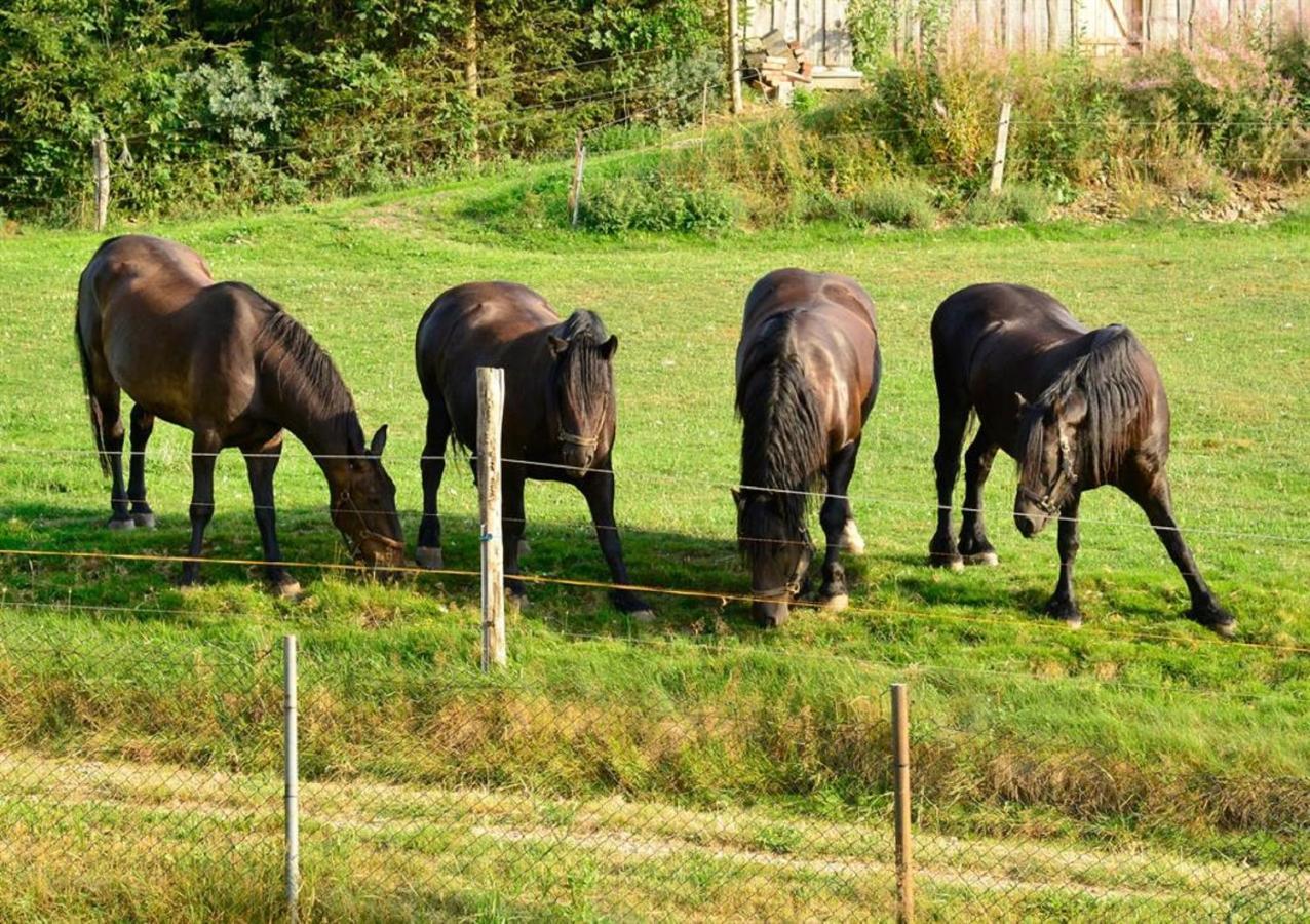 Ferienhof Kuerschner Drebach Exterior foto